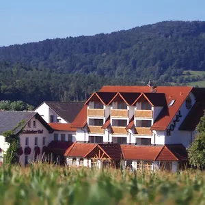 Hotel Hotel-restaurant Fränkischer Hof, Altenkunstadt